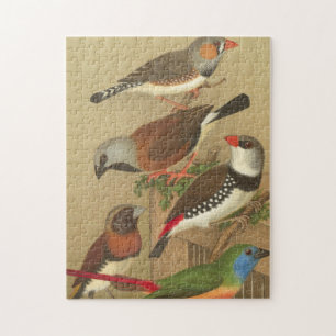 Vijf kleurrijke huisvogels die op een Tak worden v Legpuzzel