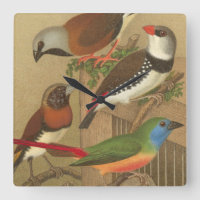 Vijf kleurrijke huisvogels die op een Tak worden v
