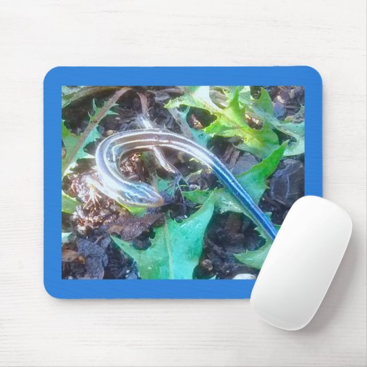 Vijf littekens op Dandelion laten horizontaal schu Muismat (Met muis)