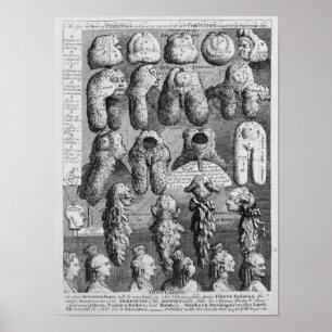 Vijf Orden van Perriwigs, 1761 Poster