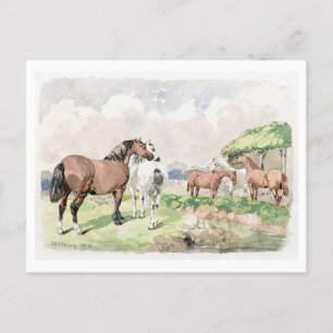 Vijf paarden in de buurt van een Brook Painting Br Briefkaart