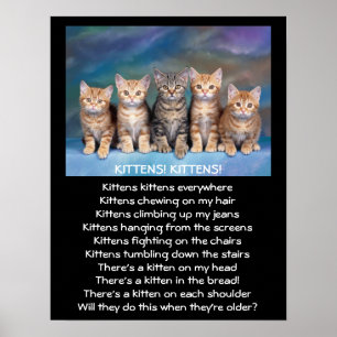 Vijf Schattige Katjes van de Gestreepte kat Poster