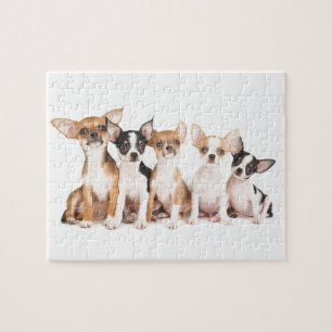 Vijf schattige puppies legpuzzel