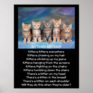 Vijf Schattige tablets door Kittens Poster