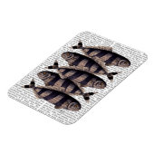 Vijf strips magneet (Linkerzijde)