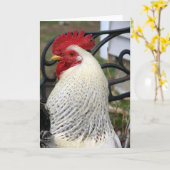 Vijf tenen de rooster kaart (Gele Bloem)