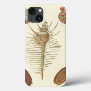 Vijf van een soort Seashells iPhone 13 Hoesje