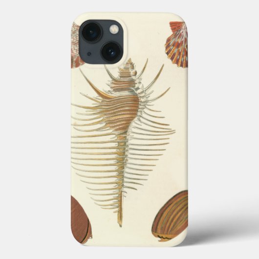 Vijf van een soort Seashells Case-Mate iPhone Case (Achterkant)