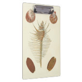 Vijf van een soort Seashells Klembord (Rechts)