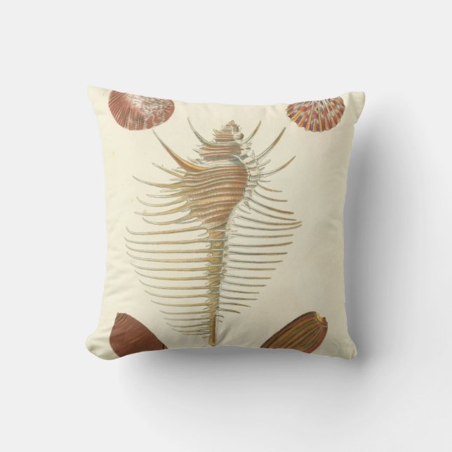 Vijf van een soort Seashells Kussen (Voorkant)