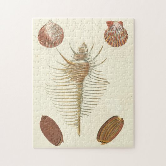 Vijf van een soort Seashells Legpuzzel (Verticaal)