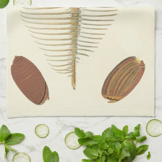 Vijf van een soort Seashells Theedoek (Gevouwen)