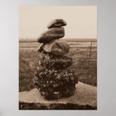 Vijf Virtuies van Zen Poster (Voorkant)