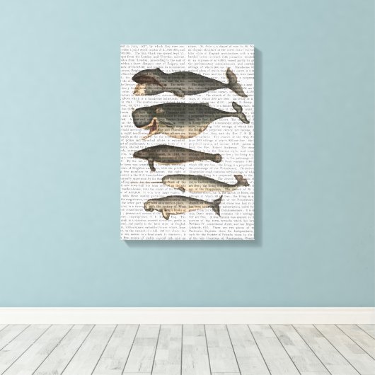 Vijf  walvissen canvas afdruk (Insitu (Houten vloer))