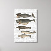 Vijf  walvissen canvas afdruk (Voorkant)