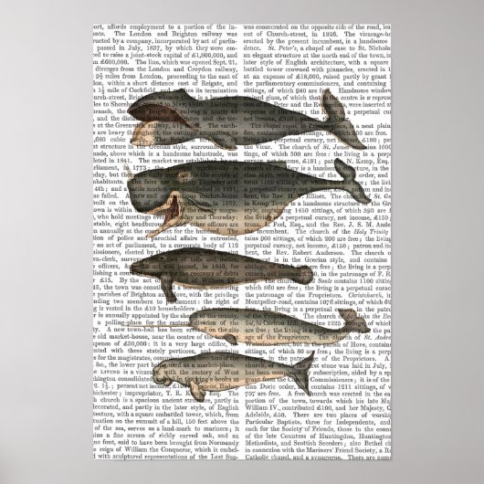 Vijf walvissen poster (Voorkant)