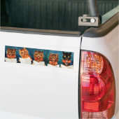 Vijf zingende katten, Louis Wain Bumpersticker (Op Truck)