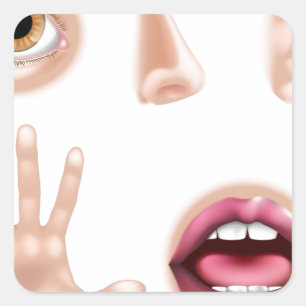 Vijf zintuigen lichaamsdelen vierkante sticker