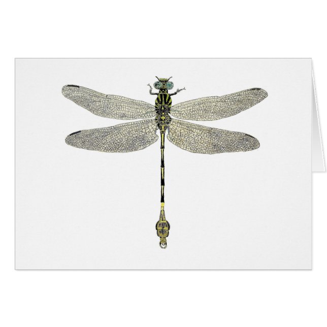 vijfpuntige liftdragonfly (Voorkant Horizontaal)