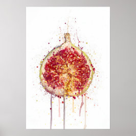 Vijg Poster