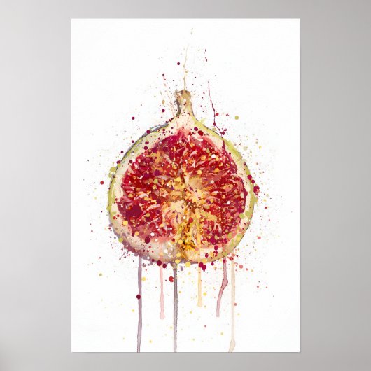 Vijg Poster (Voorkant)
