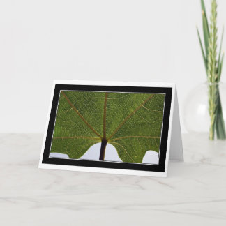 "Vijgeblad " Kaart