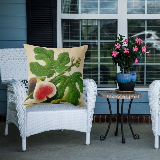  vijgen kussen (Creator heeft geüpload)