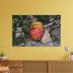vijgencactus op stenen canvas print