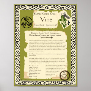 VIJNCELTISCHE ZACRED TREE POSTER