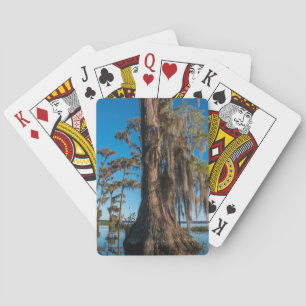 Vijvercipres in een moeras pokerkaarten