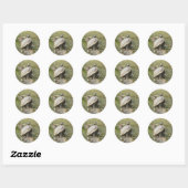 Vijverschildpad Stickers (Vel)