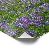 VIK, ISLANDE POSTER (Coin)