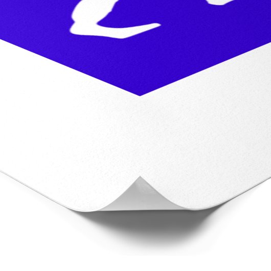 Viking Evolution Poster (Hoek)