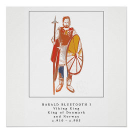 Viking King Harald Bluetooth Perfect Poster