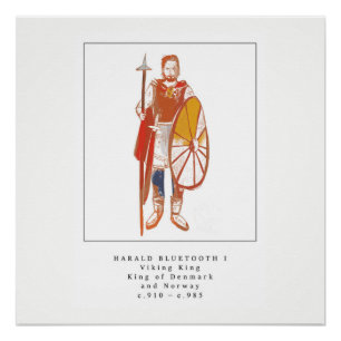 Viking King Harald Bluetooth Perfect Poster