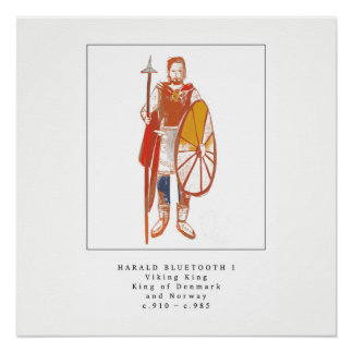 Viking King Harald Bluetooth Perfect Poster