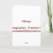 Vikingo Andalousie Stallion carte de voeux vierge (Dos)