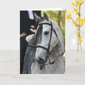 Vikingo Andalousie Stallion carte de voeux vierge (Fleur jaune)