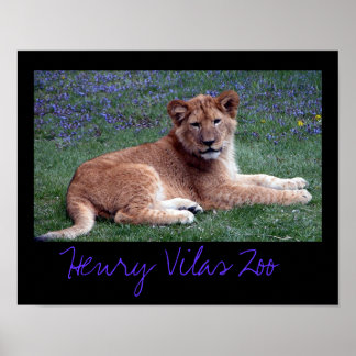 Vilas Zoo Cub Poster