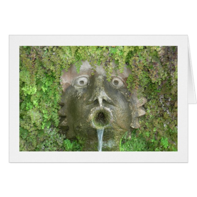 Villa d'Este Fountain (blank) (Voorkant Horizontaal)