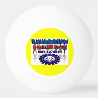 Villa Jacinta 2014 Reünie Pingpongballen