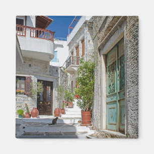 Village de Naxos, Aimant à Chats