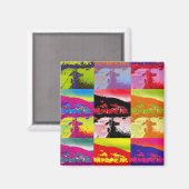 VILLAGES VAN WALES MAGNEET (Voorkant / Achterkant)