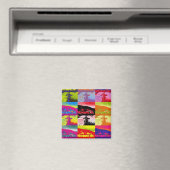 VILLAGES VAN WALES MAGNEET (Insitu (Vaatwasser))