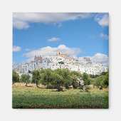Ville blanche Ostuni avec oliviers, aimant des Pou (Devant)