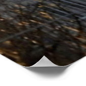 VILLE DE LOWELL SUN BÂTIMENT POSTER (Coin)