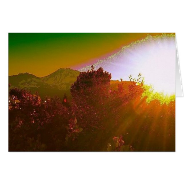 Ville lumière (Devant horizontal)