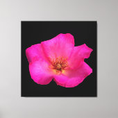 Viltstift Roos Canvas Afdruk (Voorkant)