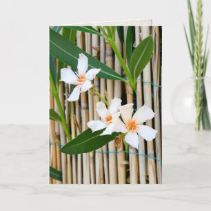 Vinca-bloem op omheining kaart