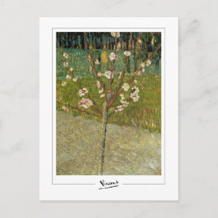 Vincent Van Gogh #14-3 - Fijne Kunst Briefkaart